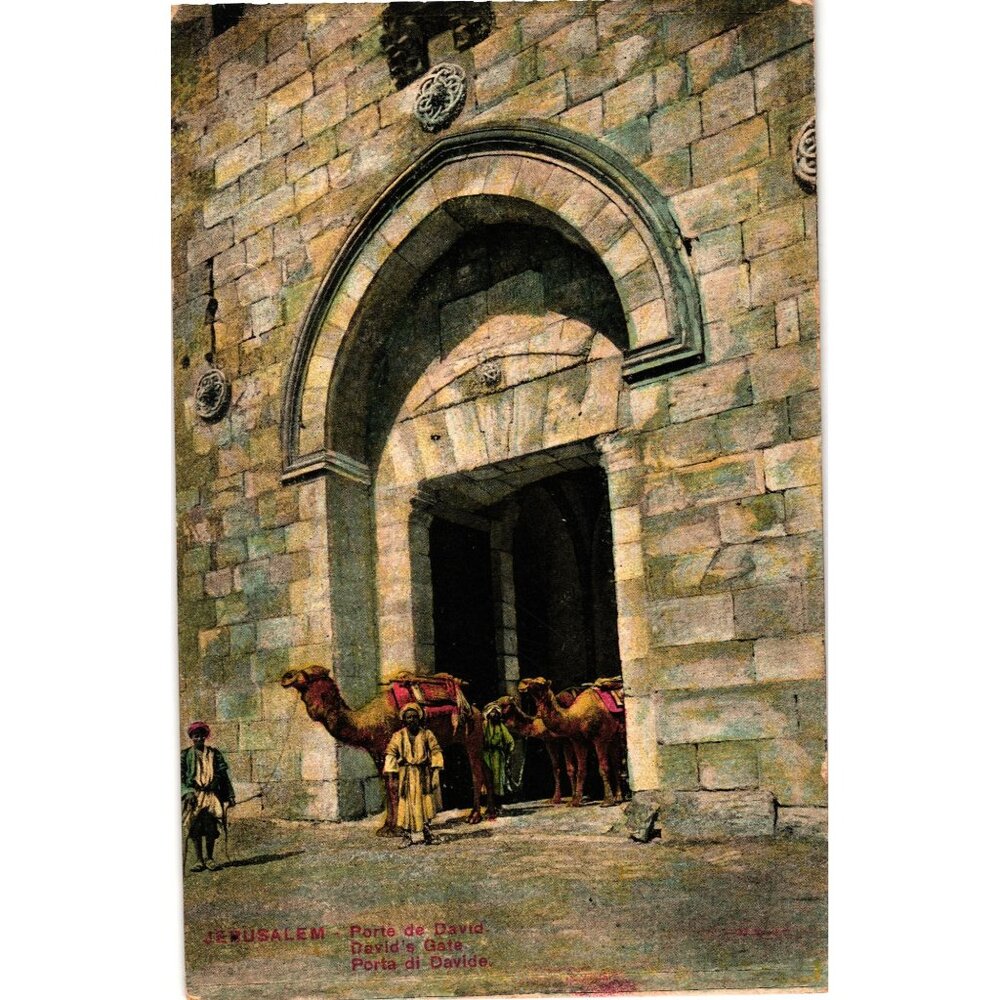Davids Gate Jerusalem Vintage Postcard Color Illustration Camels Architecture